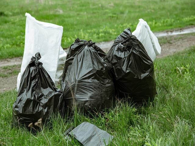 images/garden-clearance/slider/garden-waste-removal (10)-kireth-ai.jpeg